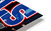 Bluey 11 HD Metal print