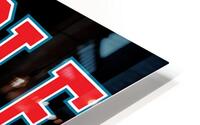 Bluey 34 HD Metal print