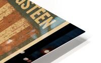 Bruce Springsteen 49 HD Metal print