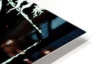 Cher 1 HD Metal print