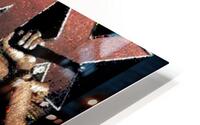 DMX 7 HD Metal print