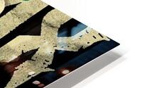 DMX 16 HD Metal print