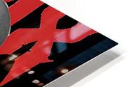 DMX 28 HD Metal print