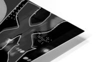 DMX 59 HD Metal print