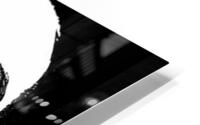 Drake 16 HD Metal print