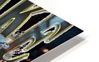 Drake 44 HD Metal print