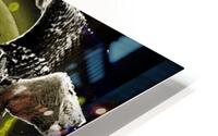 Drake 46 HD Metal print