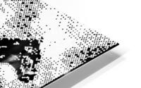 U2 23 HD Metal print