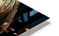 Annabelle 1 HD Metal print