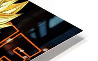 Dragon ball 14 HD Metal print