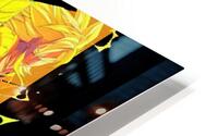 Dragon ball 21 HD Metal print
