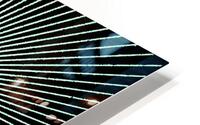 Electric Light Orchestra 39 HD Metal print