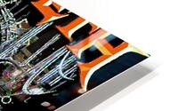 Megadeth 16 HD Metal print