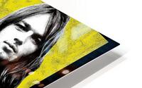 Pink Floyd 13 HD Metal print