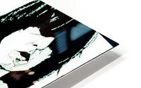 Ramones 57 HD Metal print