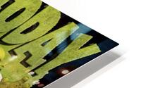 Shrek 16 HD Metal print