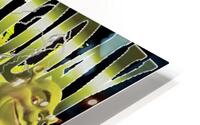 Shrek 32 HD Metal print
