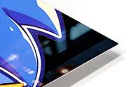 Sonic 24 HD Metal print