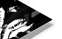 Steppenwolf 6 HD Metal print