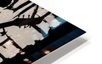 The Cure 33 HD Metal print