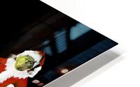 The Grinch 6 HD Metal print