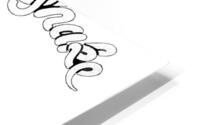 Whitesnake 21 HD Metal print