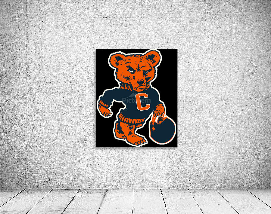 Chicago Bears 30 Wall Preview