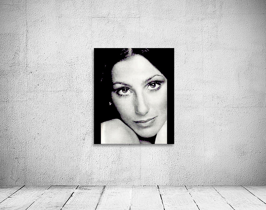 Cher 16 Wall Preview