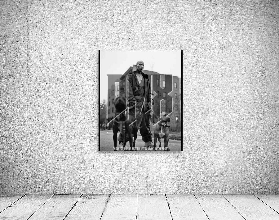 DMX 49 Wall Preview