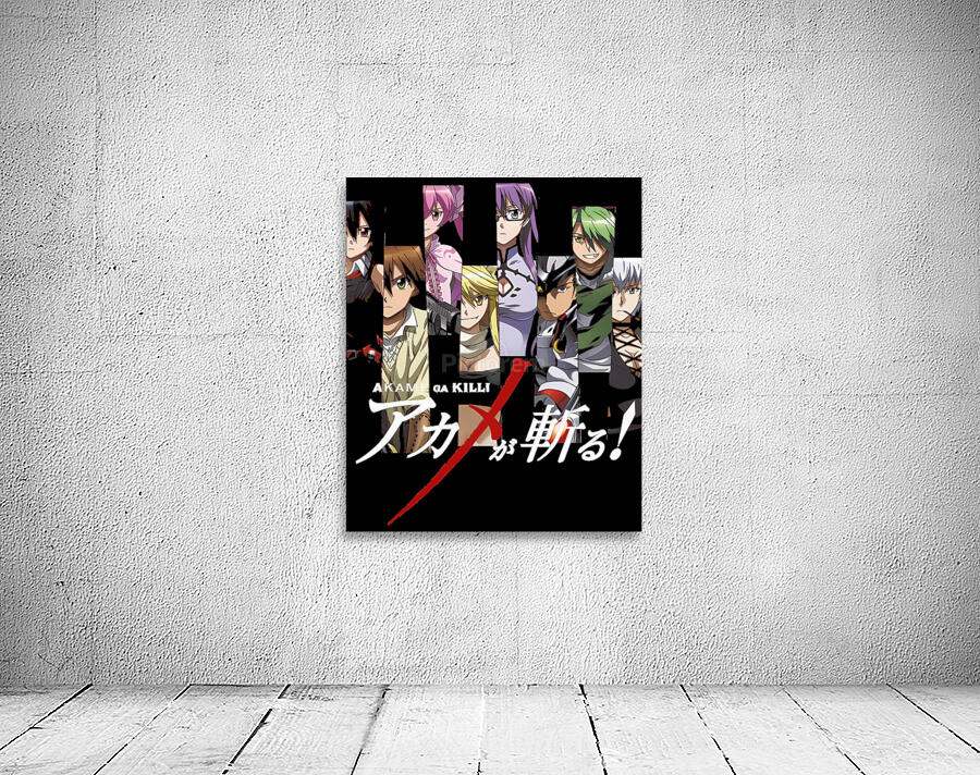 Akame ga Kill 31 Wall Preview