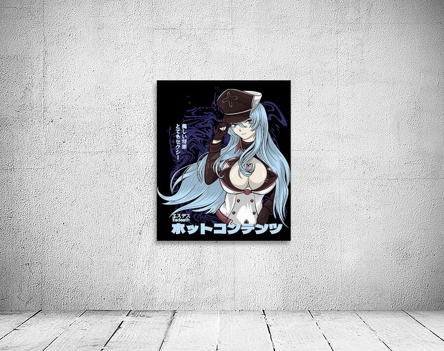 Akame ga Kill 9 Wall Preview