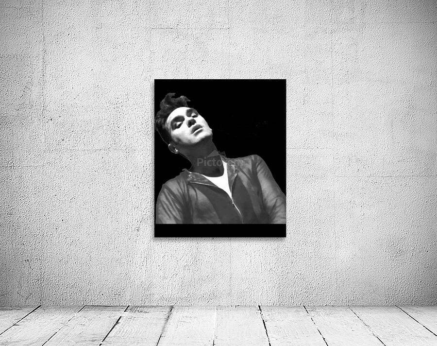 Morrissey 6 Wall Preview
