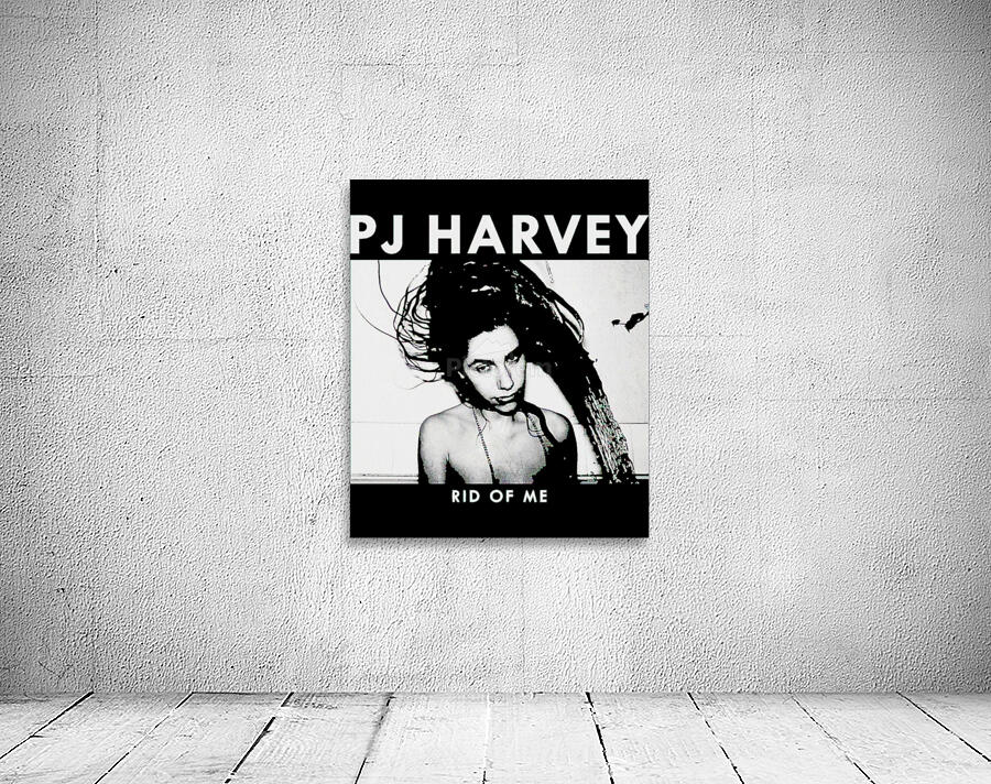 PJ Harvey 39 Wall Preview