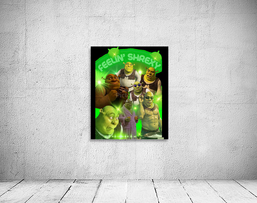 Shrek 14 Wall Preview