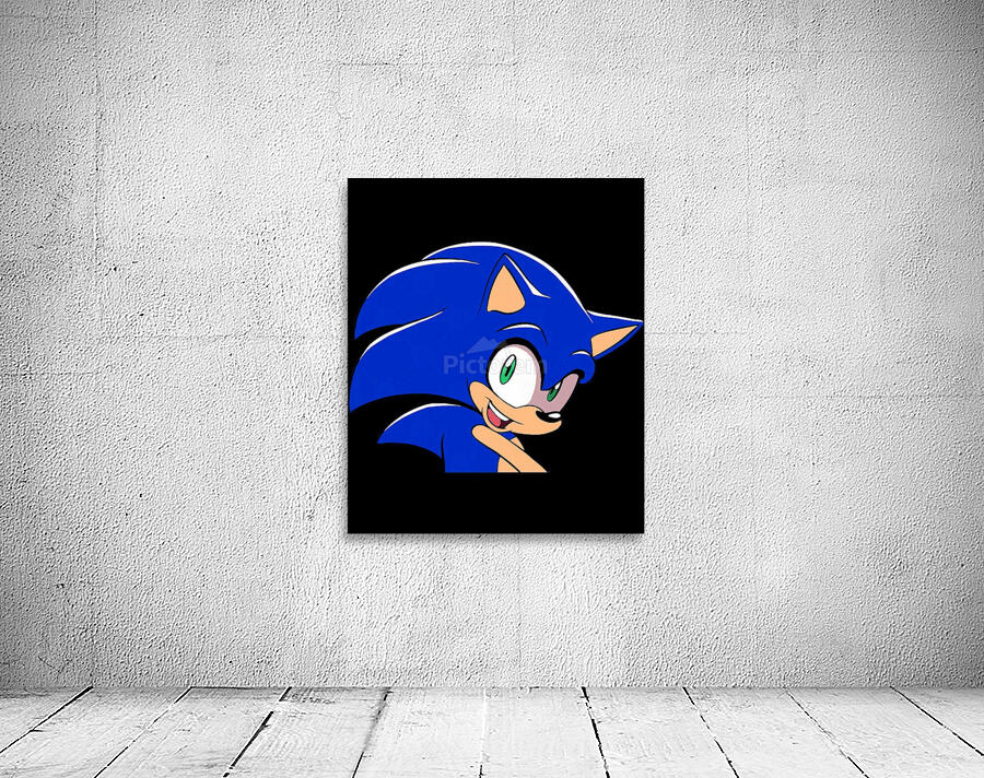 Sonic 8 Wall Preview
