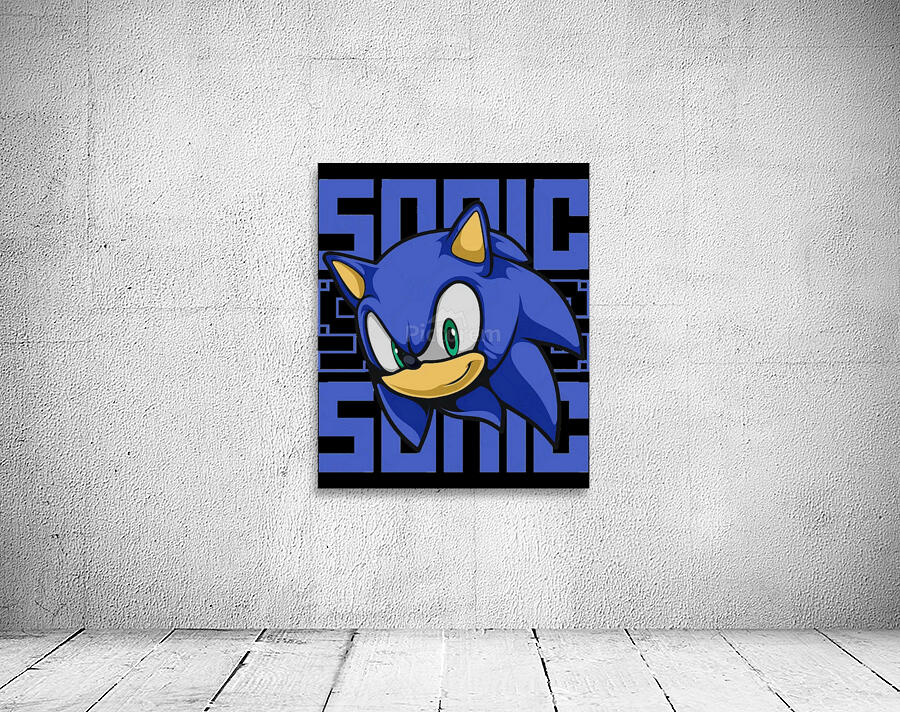 Sonic 23 Wall Preview
