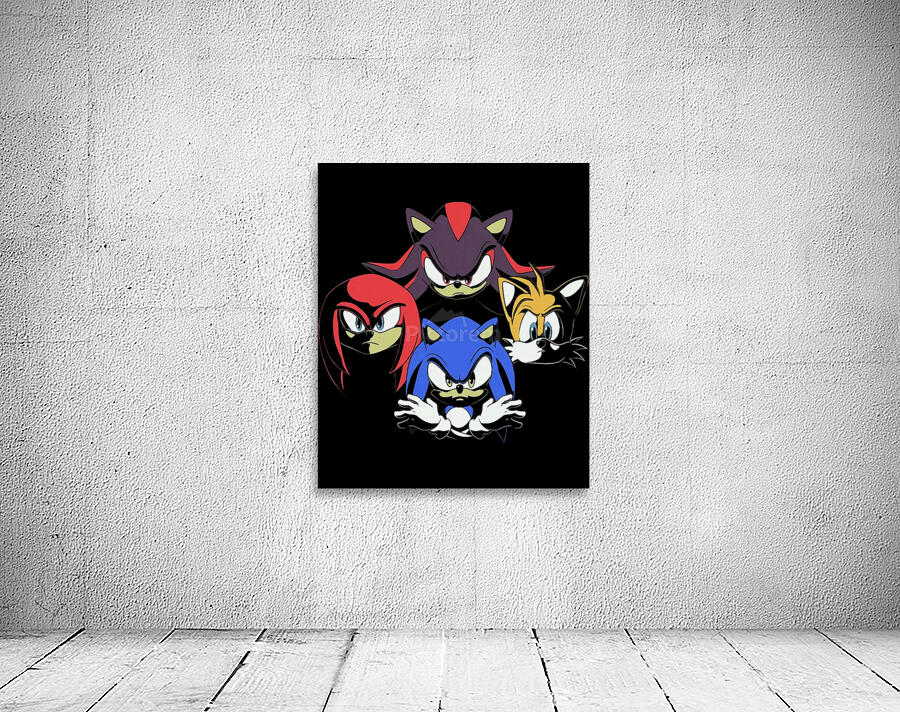 Sonic 40 Wall Preview