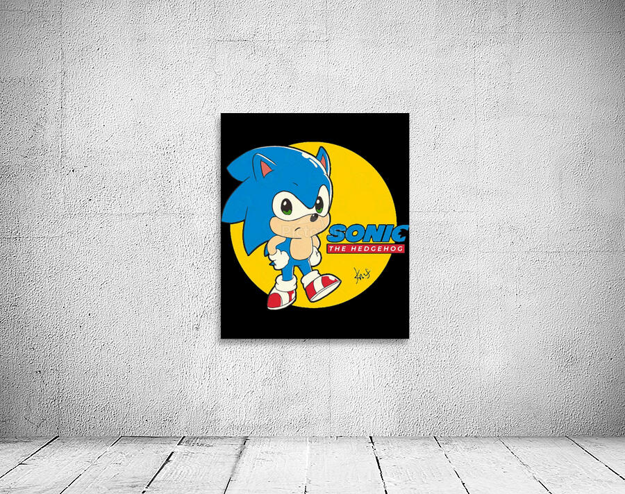 Sonic 43 Wall Preview