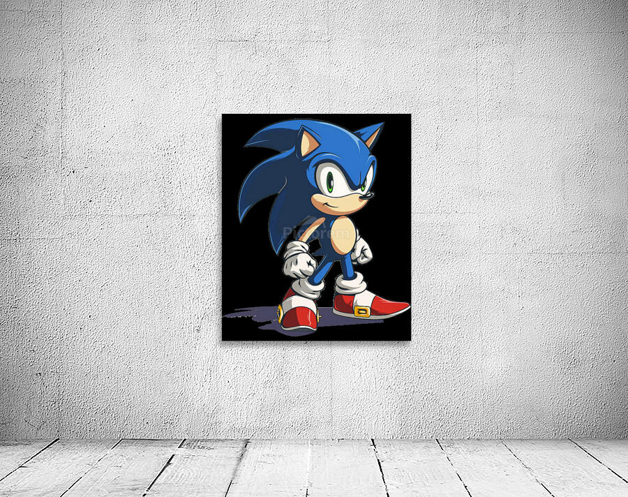 Sonic 6 Wall Preview