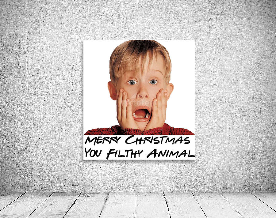 Home Alone 27 Wall Preview