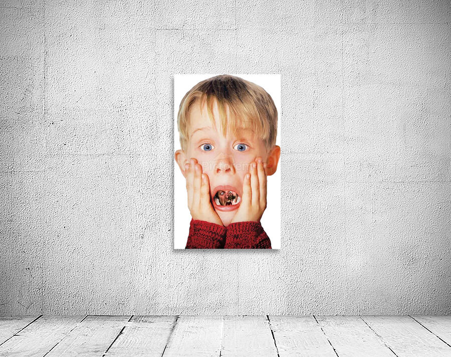 Home Alone 43 Wall Preview