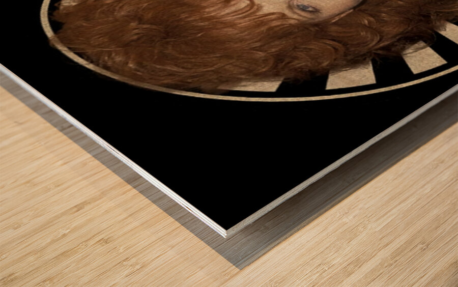 Reba McEntire 37 Wood print