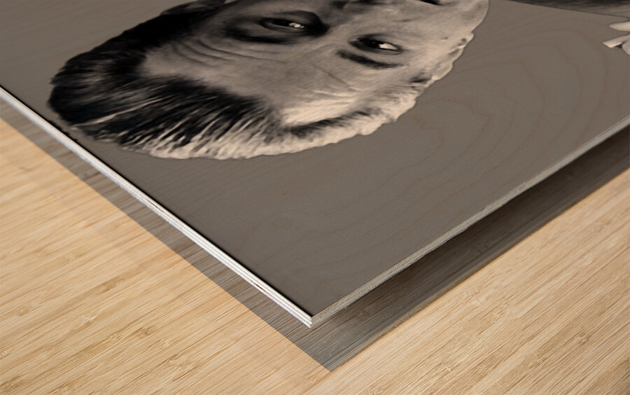 Robert De Niro 48 Wood print