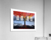 Fall Acrylic Print