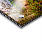 Tranquilitys Gateway: Exploring the Colors of Clallam Bay County Park Bridge Acrylic print