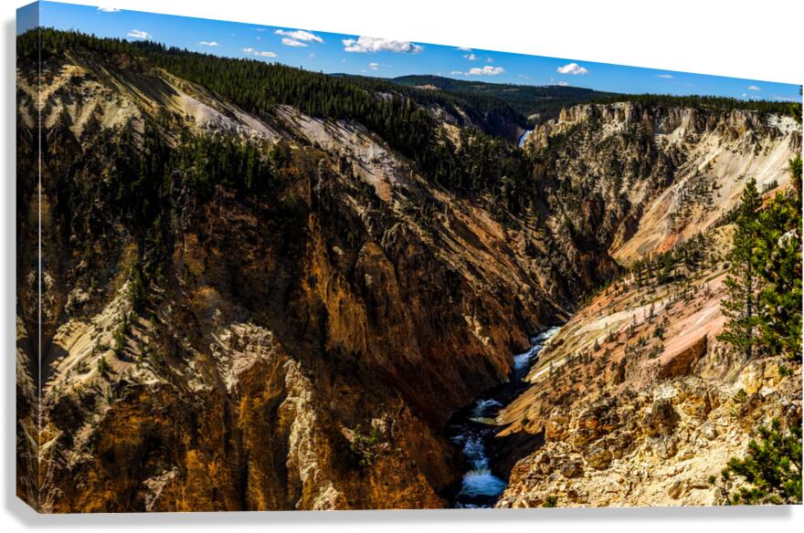 Captivating Contrasts: Inspiration Point at the Grand Canyon of Yellowstone Canvas Print