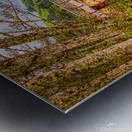 Tranquilitys Gateway: Exploring the Colors of Clallam Bay County Park Bridge Metal print