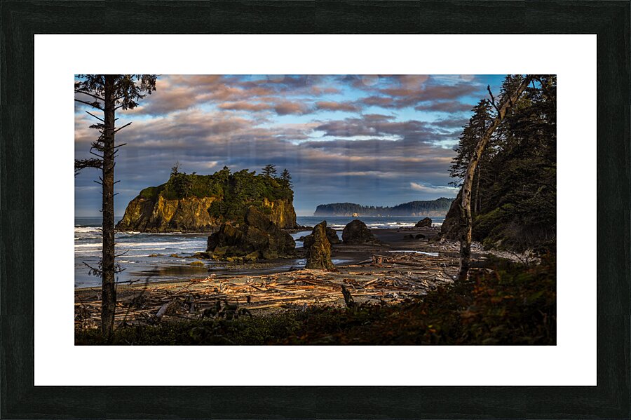 Mystical Shores: The Enigmatic Beauty of Ruby Beach Picture Frame print
