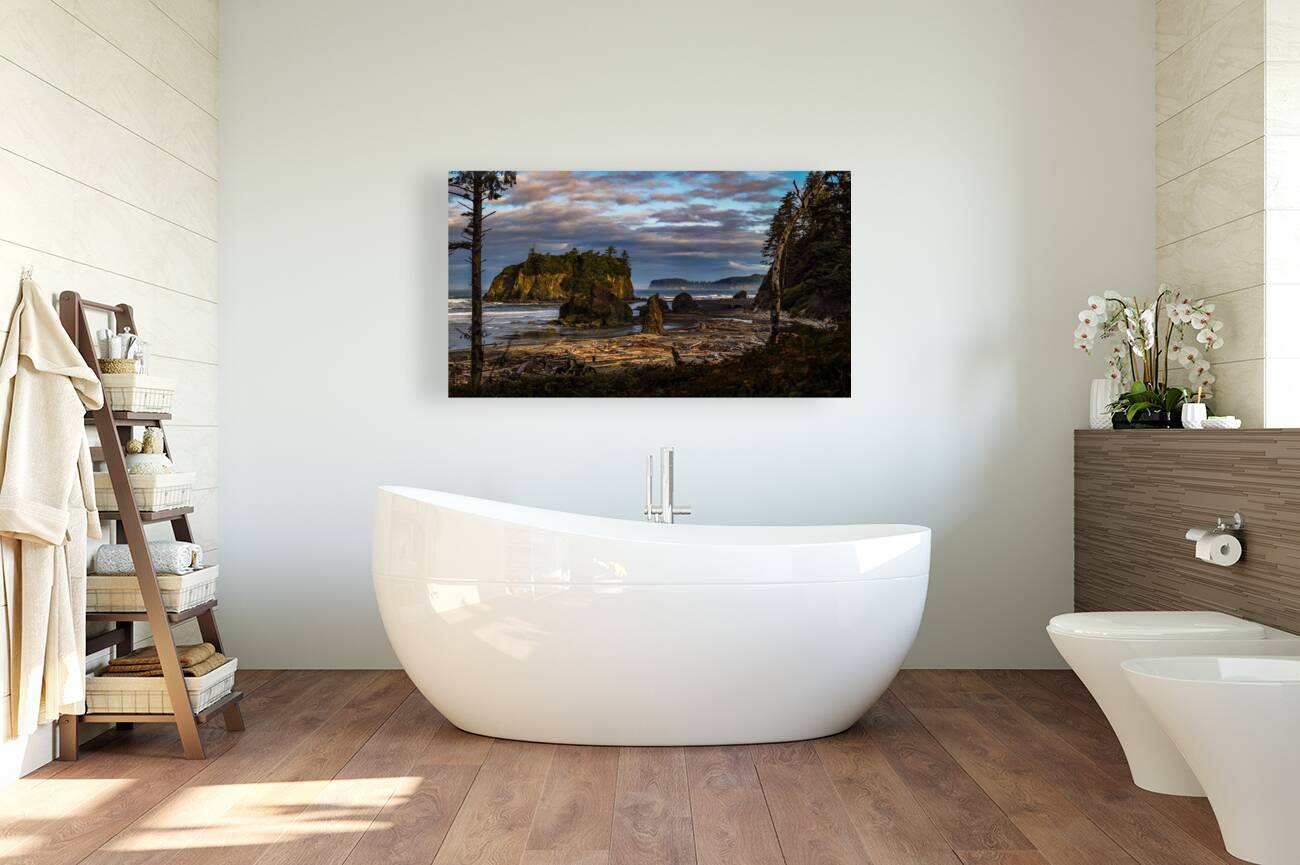 Mystical Shores: The Enigmatic Beauty of Ruby Beach Reproduction