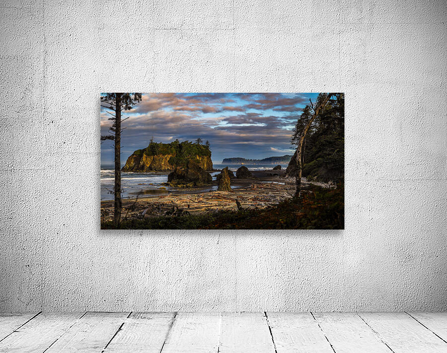 Mystical Shores: The Enigmatic Beauty of Ruby Beach Wall Preview